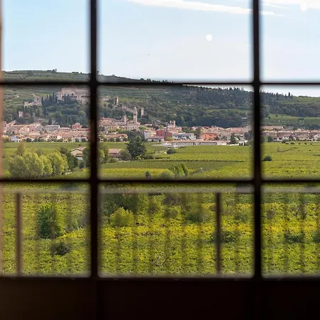 Monte Bisson * Soave (Verona)