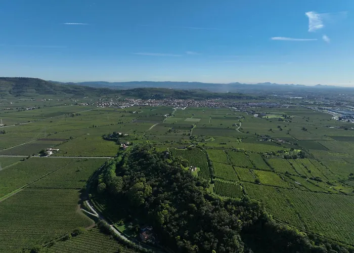 农家乐 Monte Bisson *